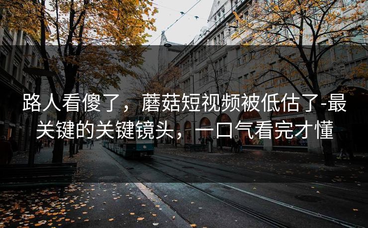 路人看傻了，蘑菇短视频被低估了-最关键的关键镜头，一口气看完才懂